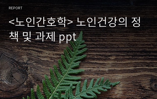 &lt;노인간호학&gt; 노인건강의 정책 및 과제 ppt