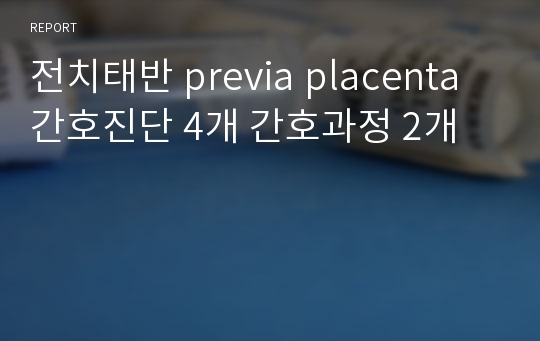 전치태반 previa placenta 간호진단 4개 간호과정 2개