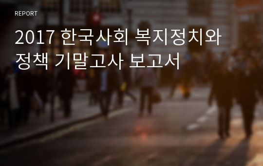 2017 한국사회 복지정치와 정책 기말고사 보고서