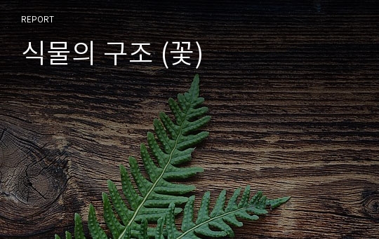 식물의 구조 (꽃)