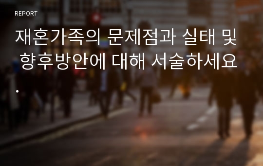 재혼가족의 문제점과 실태 및 향후방안에 대해 서술하세요.