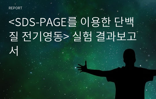 &lt;SDS-PAGE를 이용한 단백질 전기영동&gt; 실험 결과보고서