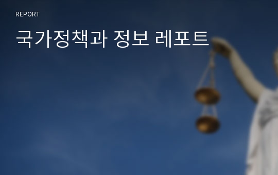 국가정책과 정보 레포트