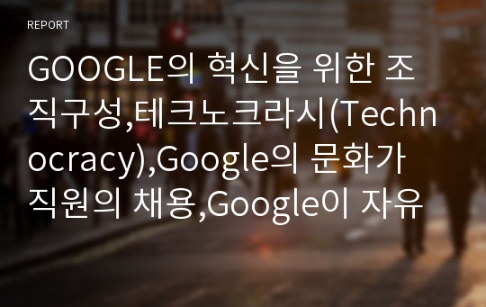 GOOGLE의 혁신을 위한 조직구성,테크노크라시(Technocracy),Google의 문화가 직원의 채용,Google이 자유스러운 조직구조,구글 인적자원관리,구글 마케팅,구글 경영분석사례