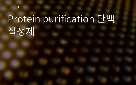 Protein purification 단백질정제