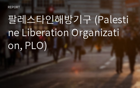팔레스타인해방기구 (Palestine Liberation Organization, PLO)