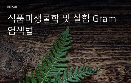 식품미생물학 및 실험 Gram 염색법