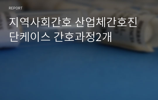 지역사회간호 산업체간호진단케이스 간호과정2개