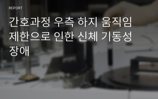 간호과정 우측 하지 움직임 제한으로 인한 신체 기동성 장애