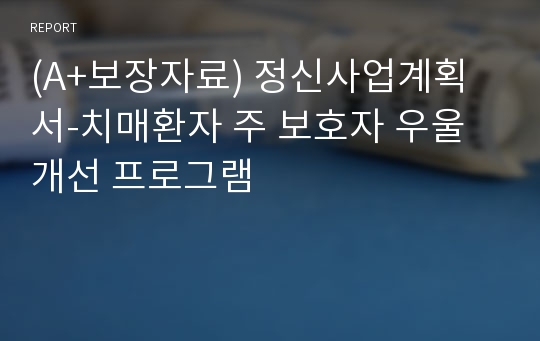 (A+보장자료) 정신사업계획서-치매환자 주 보호자 우울 개선 프로그램