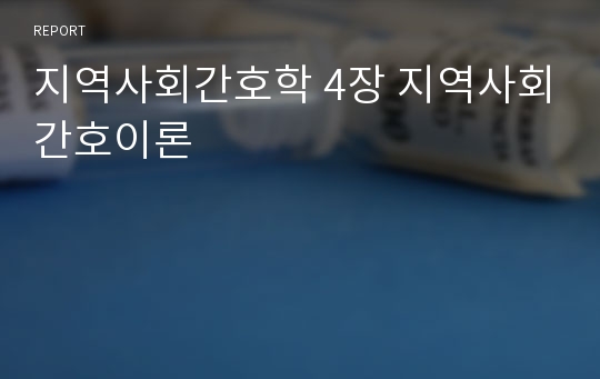 지역사회간호학 4장 지역사회간호이론