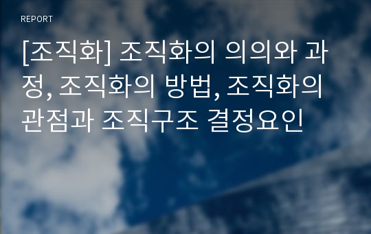 [조직화] 조직화의 의의와 과정, 조직화의 방법, 조직화의 관점과 조직구조 결정요인