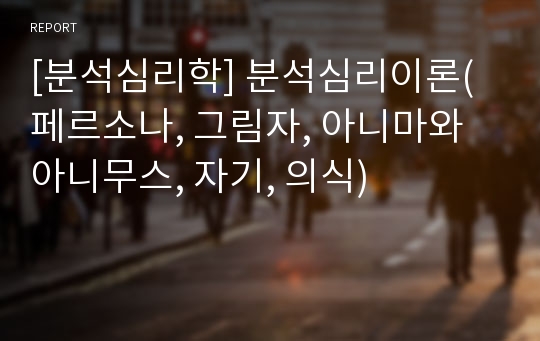 [분석심리학] 분석심리이론(페르소나, 그림자, 아니마와 아니무스, 자기, 의식)