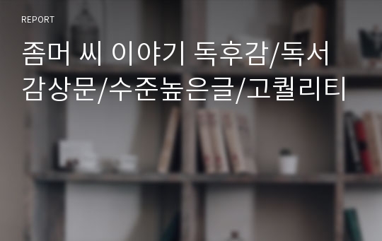 좀머 씨 이야기 독후감/독서감상문/수준높은글/고퀄리티