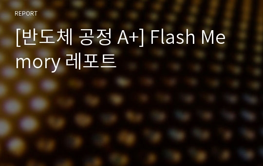 [반도체 공정 A+] Flash Memory 레포트