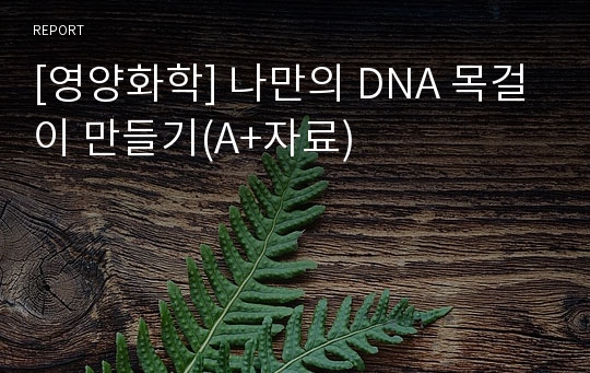 [영양화학] 나만의 DNA 목걸이 만들기(A+자료)