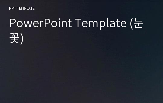 PowerPoint Template (눈꽃)