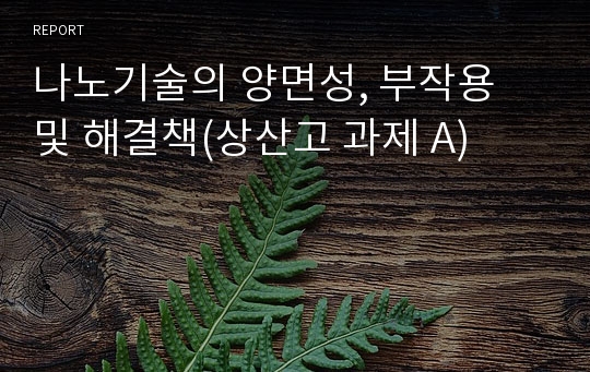 나노기술의 양면성, 부작용 및 해결책(상산고 과제 A)