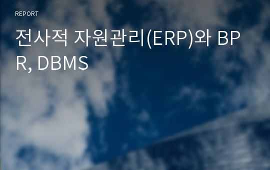 전사적 자원관리(ERP)와 BPR, DBMS