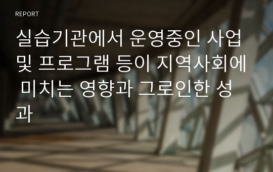 실습기관에서 운영중인 사업 및 프로그램 등이 지역사회에 미치는 영향과 그로인한 성과