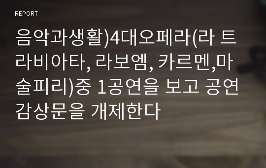 음악과생활)4대오페라(라 트라비아타, 라보엠, 카르멘,마술피리)중 1공연을 보고 공연감상문을 개제한다