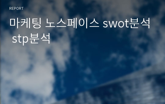 마케팅 노스페이스 swot분석 stp분석