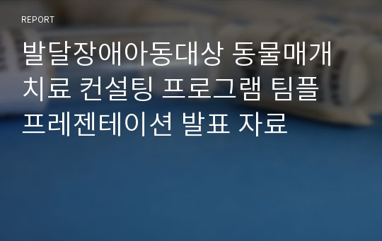 발달장애아동대상 동물매개치료 컨설팅 프로그램 팀플 프레젠테이션 발표 자료