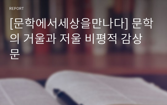 [문학에서세상을만나다] 문학의 거울과 저울 비평적 감상문