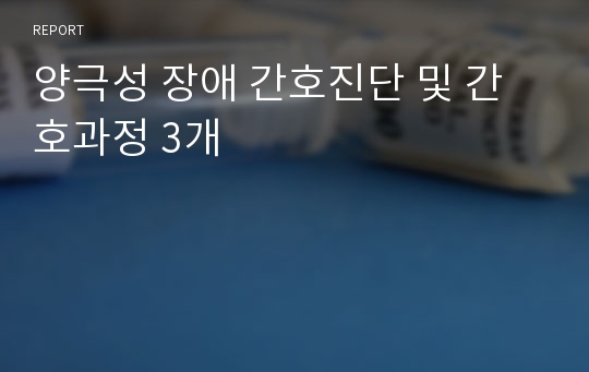 양극성 장애 간호진단 및 간호과정 3개