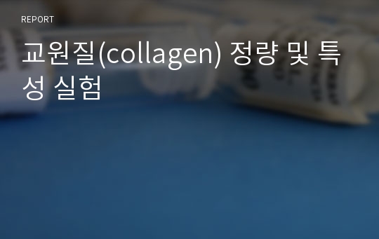 교원질(collagen) 정량 및 특성 실험