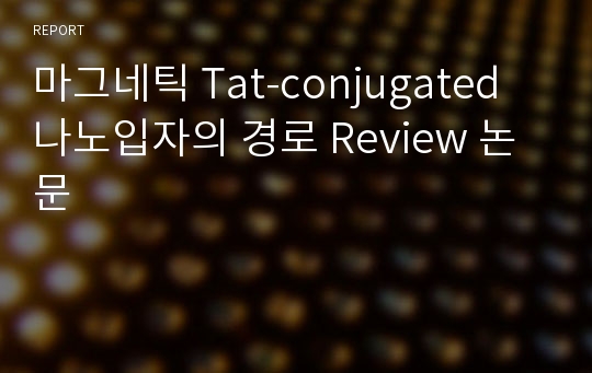 마그네틱 Tat-conjugated 나노입자의 경로 Review 논문