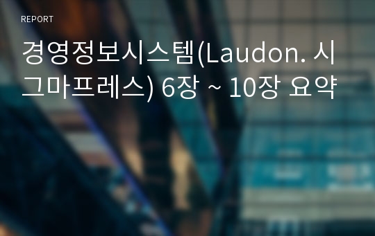 경영정보시스템(Laudon. 시그마프레스) 6장 ~ 10장 요약