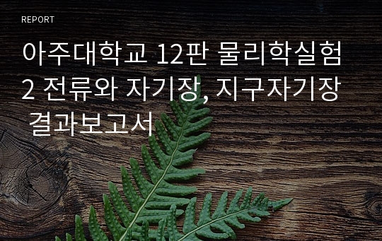 아주대학교 12판 물리학실험2 전류와 자기장, 지구자기장 결과보고서