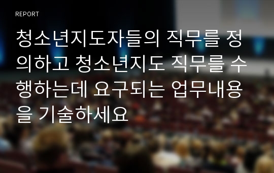 청소년지도자들의 직무를 정의하고 청소년지도 직무를 수행하는데 요구되는 업무내용을 기술하세요