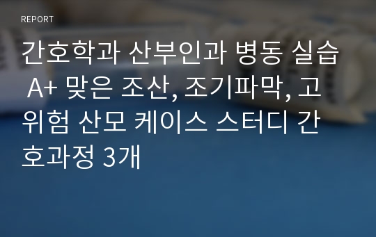 간호학과 산부인과 병동 실습 A+ 맞은 조산, 조기파막, 고위험 산모 케이스 스터디 간호과정 3개