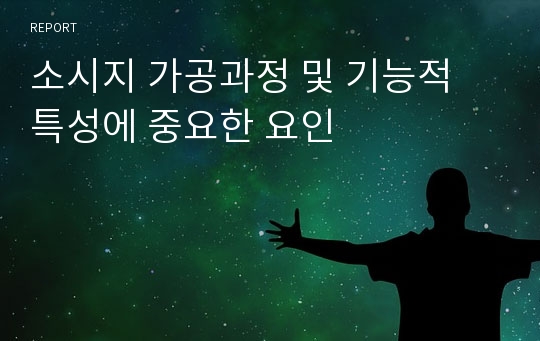 소시지 가공과정 및 기능적 특성에 중요한 요인