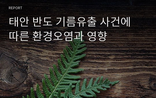 태안 반도 기름유출 사건에 따른 환경오염과 영향