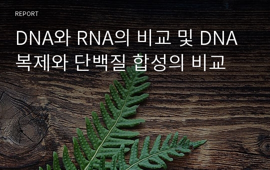 DNA와 RNA의 비교 및 DNA복제와 단백질 합성의 비교