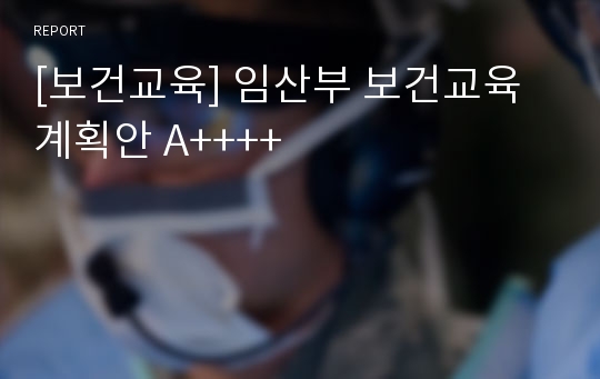 [보건교육] 임산부 보건교육계획안 A++++