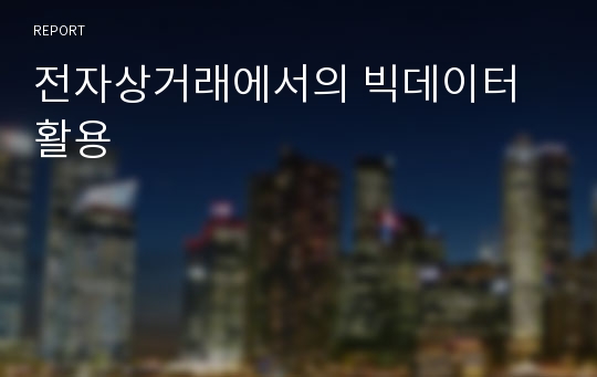 전자상거래에서의 빅데이터 활용