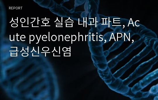 성인간호 실습 내과 파트, Acute pyelonephritis, APN, 급성신우신염