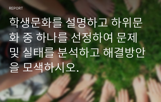 학생문화를 설명하고 하위문화 중 하나를 선정하여 문제 및 실태를 분석하고 해결방안을 모색하시오.