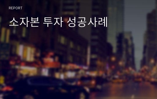 소자본 투자 성공사례