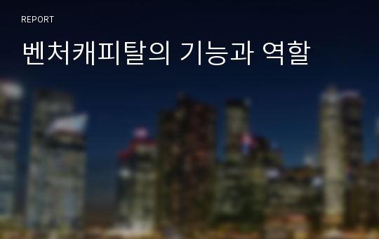 벤처캐피탈의 기능과 역할