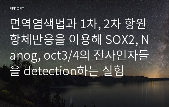 면역염색법과 1차, 2차 항원항체반응을 이용해 SOX2, Nanog, oct3/4의 전사인자들을 detection하는 실험