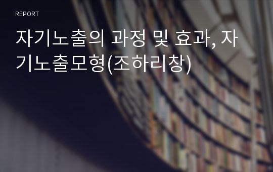 자기노출의 과정 및 효과, 자기노출모형(조하리창)