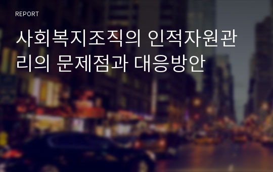 사회복지조직의 인적자원관리의 문제점과 대응방안