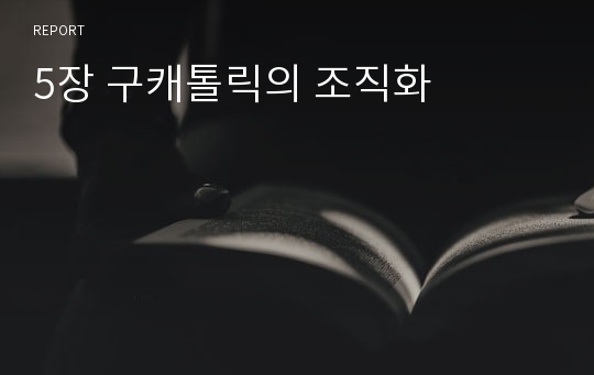 5장 구캐톨릭의 조직화