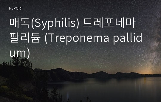 매독(Syphilis) 트레포네마 팔리듐 (Treponema pallidum)