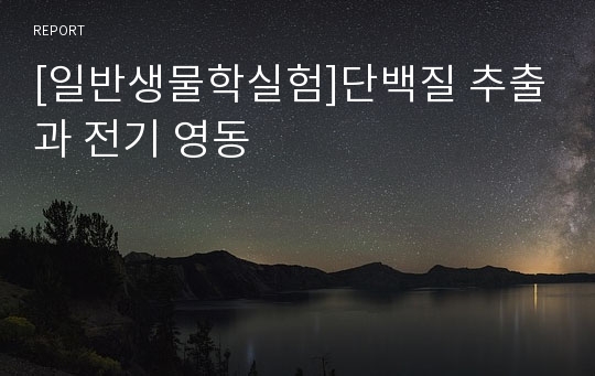 [일반생물학실험]단백질 추출과 전기 영동